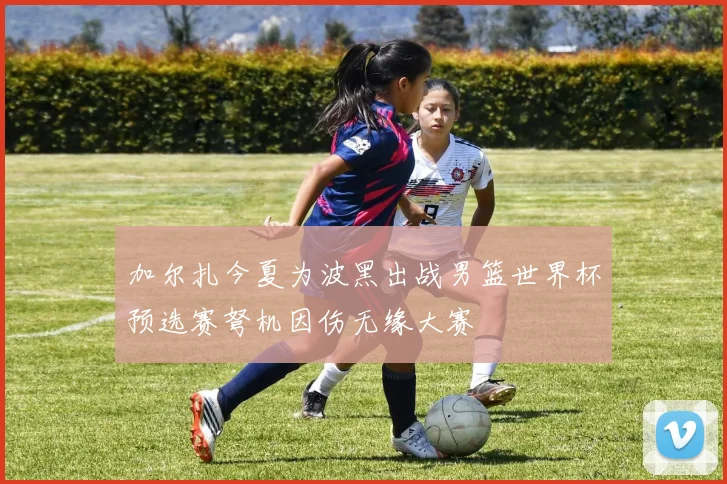 加尔扎今夏为波黑出战男篮世界杯预选赛弩机因伤无缘大赛