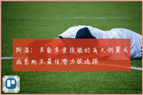 斯温：具备多重技能的高大侧翼或成首轮末最佳潜力股选择