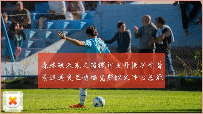 森林狼未来之路探讨麦丹换字母哥或追逐莫兰特福克斯欧文冲击总冠军